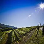 Venica & Venica Wine *
