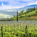 Rezort Venica & Venica Wine