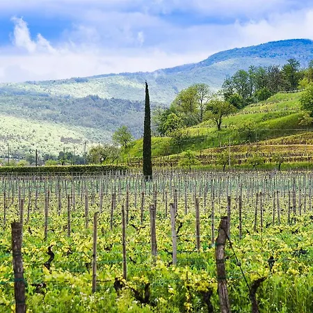 Resort Venica & Venica Wine