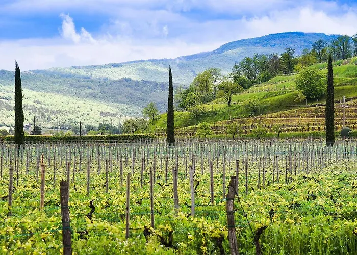 Rezort Venica & Venica Wine